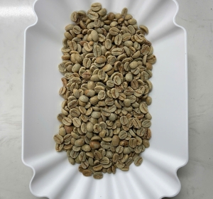 Brazil Rancho Anaerobic